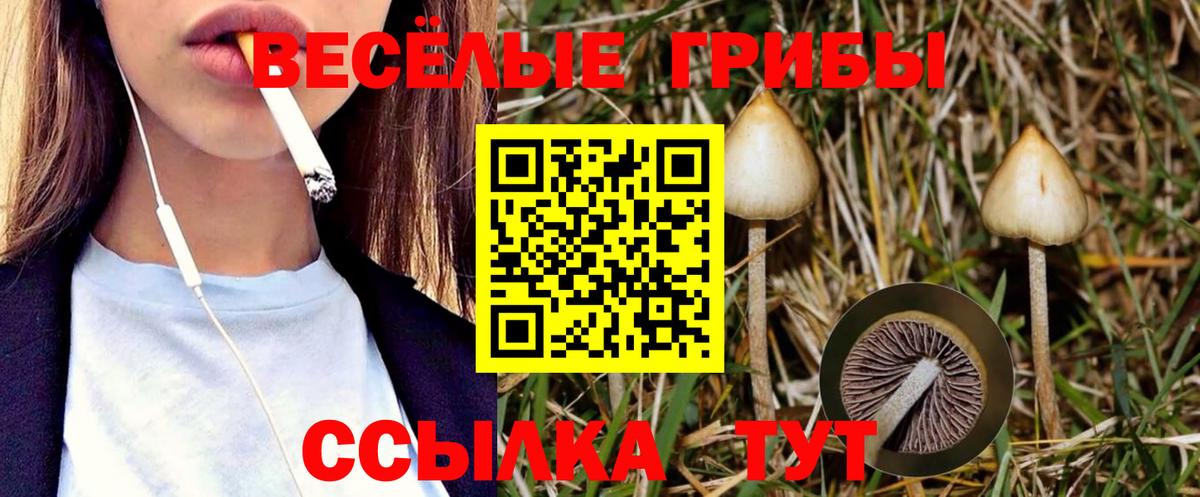 Галлюциногенные грибы Magic Shrooms  Вход с VPN  Новороссийск 