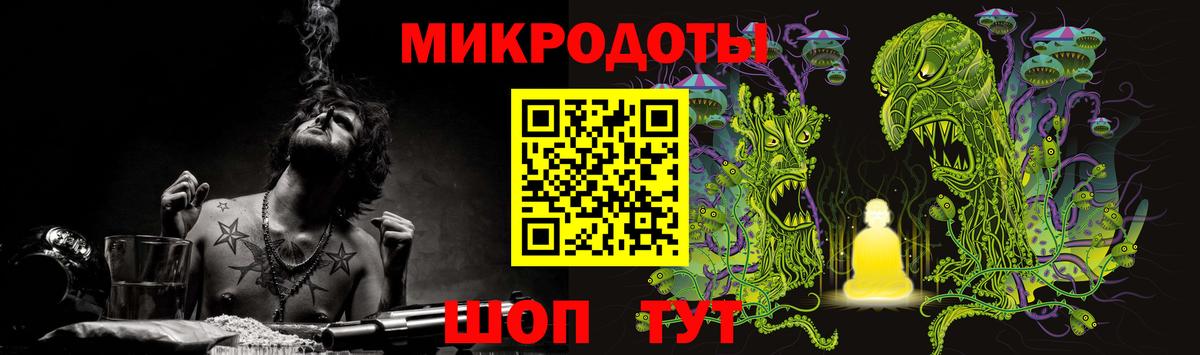 Галлюциногенные грибы Psilocybine cubensis Новороссийск
